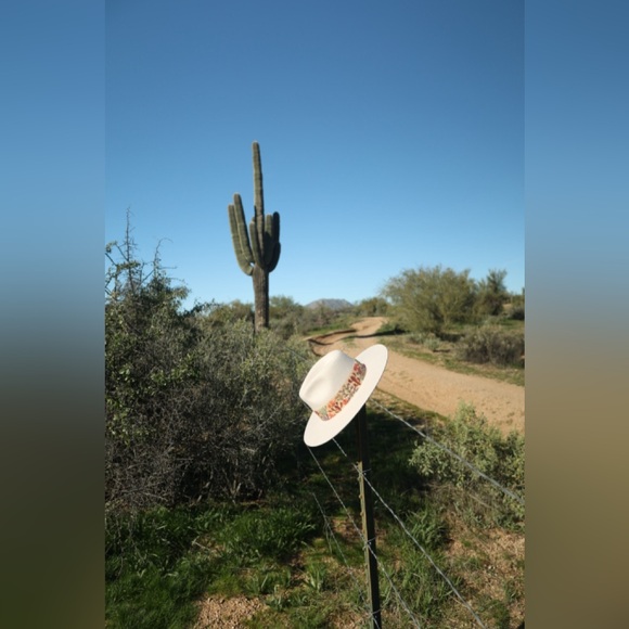 White Grey Wool Cowboy Hat – Western Felt Hat with Embroidered Cactus Band - Picture 3 of 5